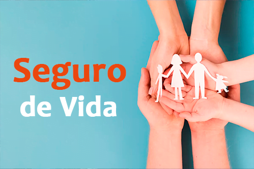 Seguro de vida Seguro de vida